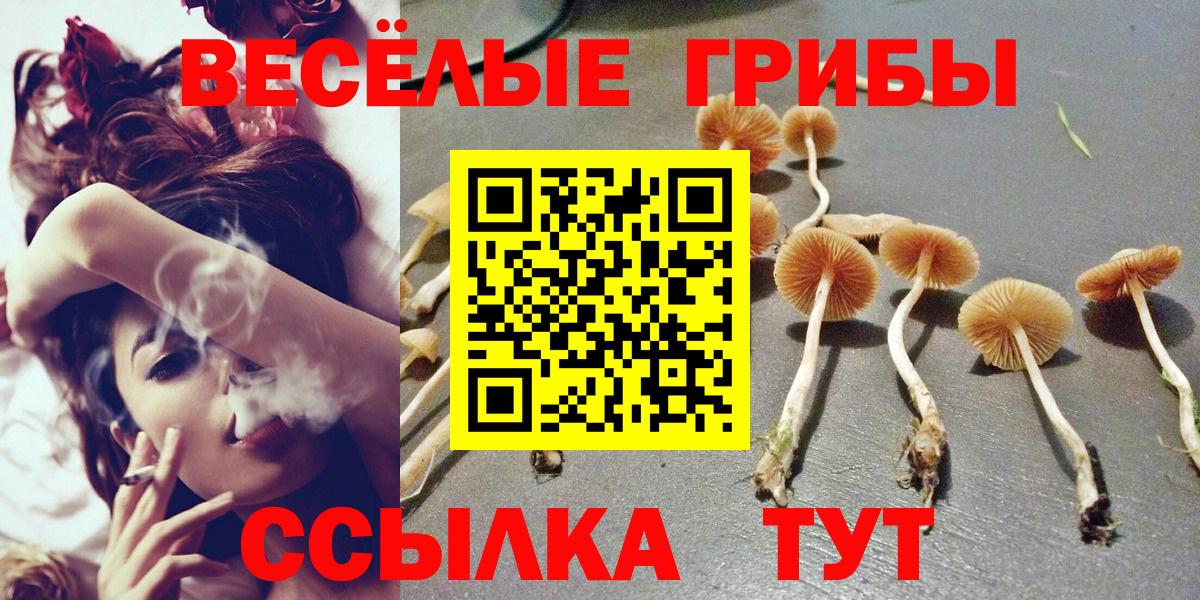 Благовещенск  Галлюциногенные грибы мухоморы  Вход с VPN 